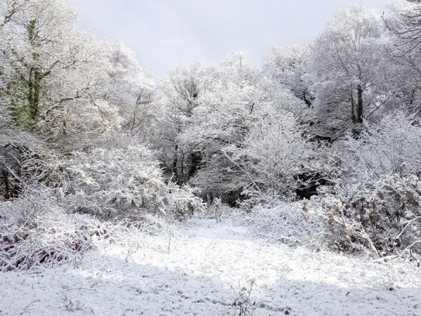 Grell Wenn sous la&nbsp;neige!