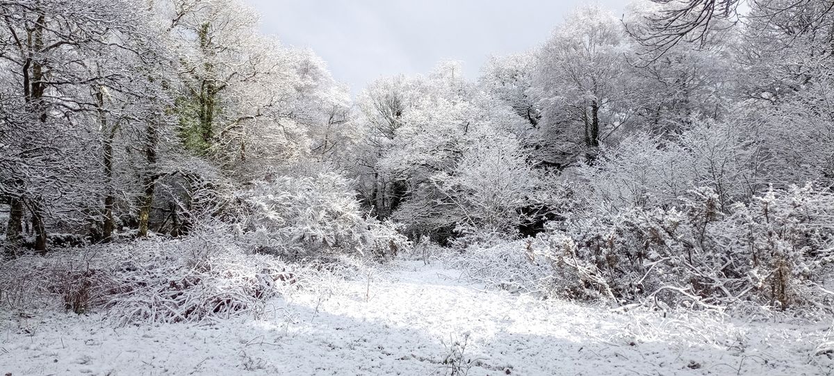 Grell Wenn sous la&nbsp;neige!
